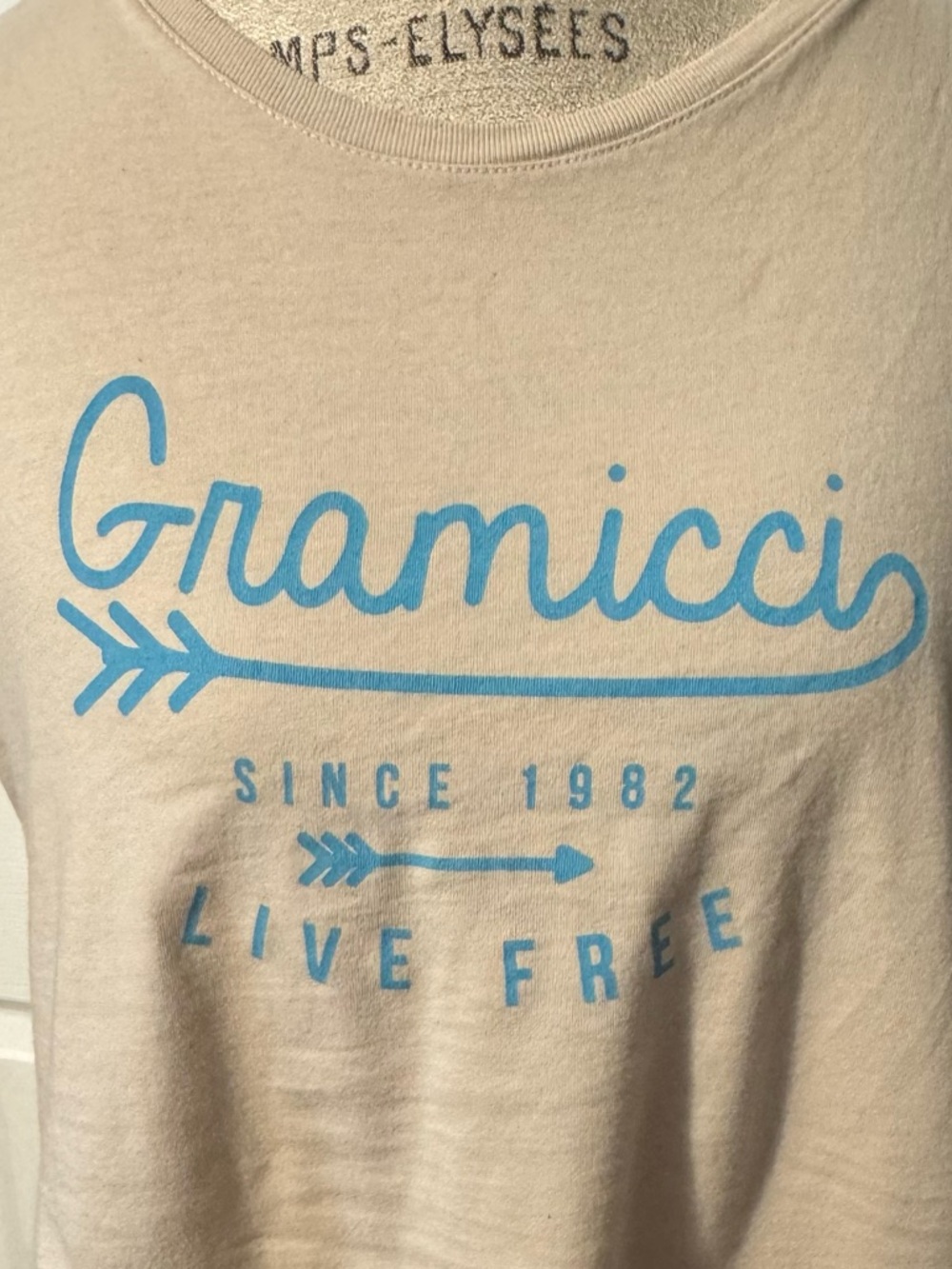 Gramicci Organic Cotton Cream Graphic Logo Tee Small